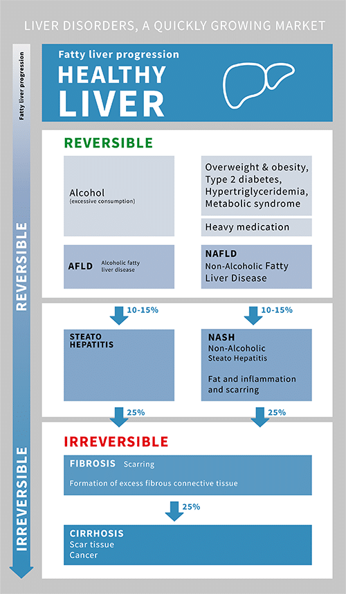 Fatty liver progression